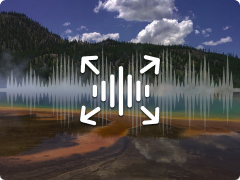 Expander Icon
